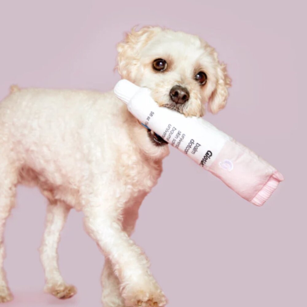 Glossier x Bark Balm Dogcom Dotcom dog toy NWT